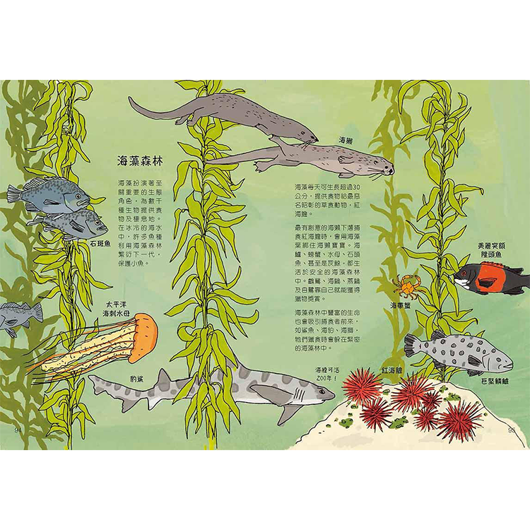 海洋解剖書：超過650幅海洋博物繪，帶你深入淺出，全方位探索洋流、地形、鯨豚等自然知識