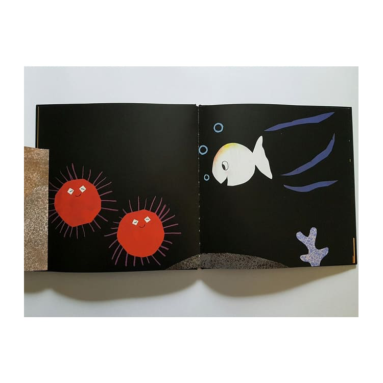 5-跟小白魚一起玩躲貓貓(翻一翻、找一找)  (已絕版)