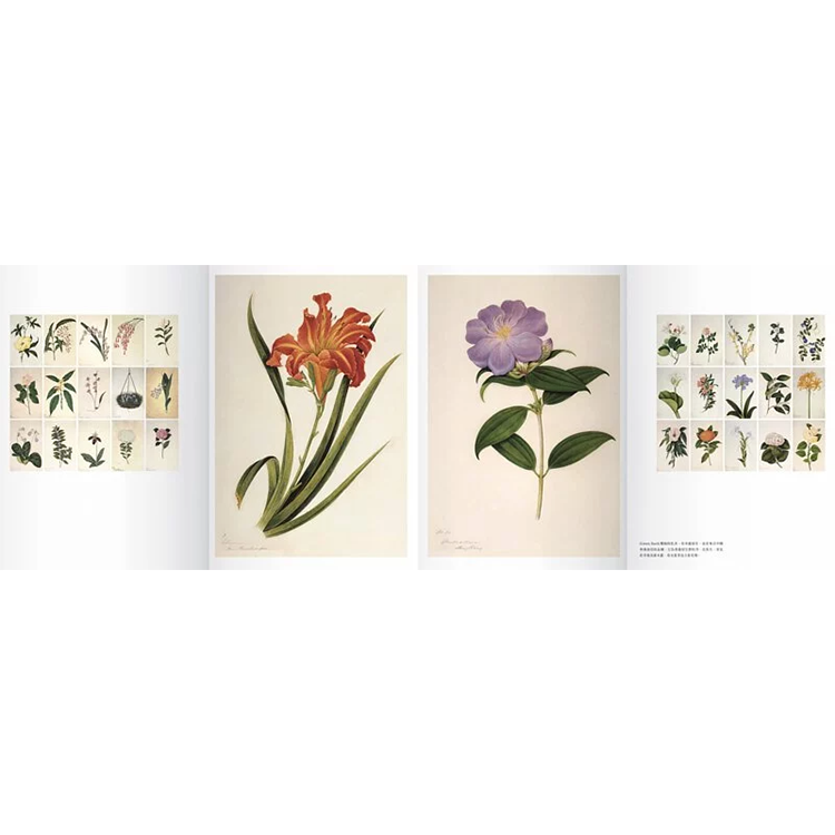 Being Hong Kong Redux 就係香港復刻珍藏版