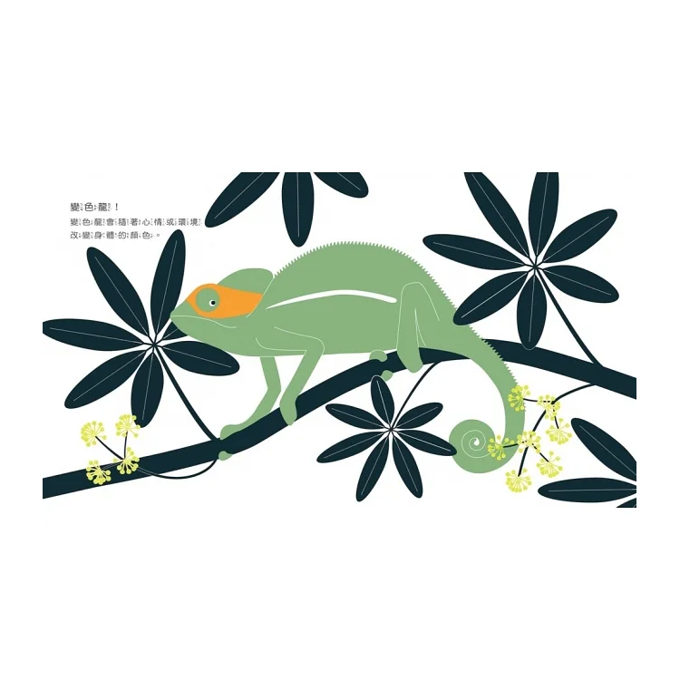 小兔子的超能力