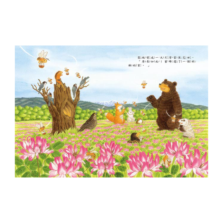 大熊與小睡鼠系列(共4冊)