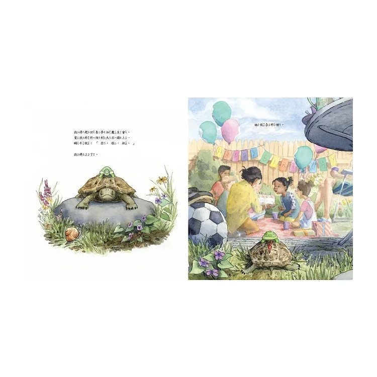 艾飛不見了