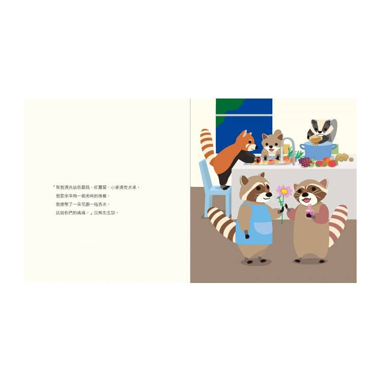 浣熊洗衣店