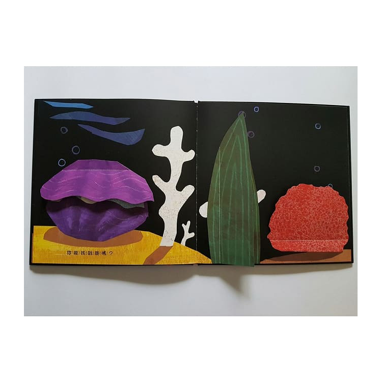 5-跟小白魚一起玩躲貓貓(翻一翻、找一找)  (已絕版)