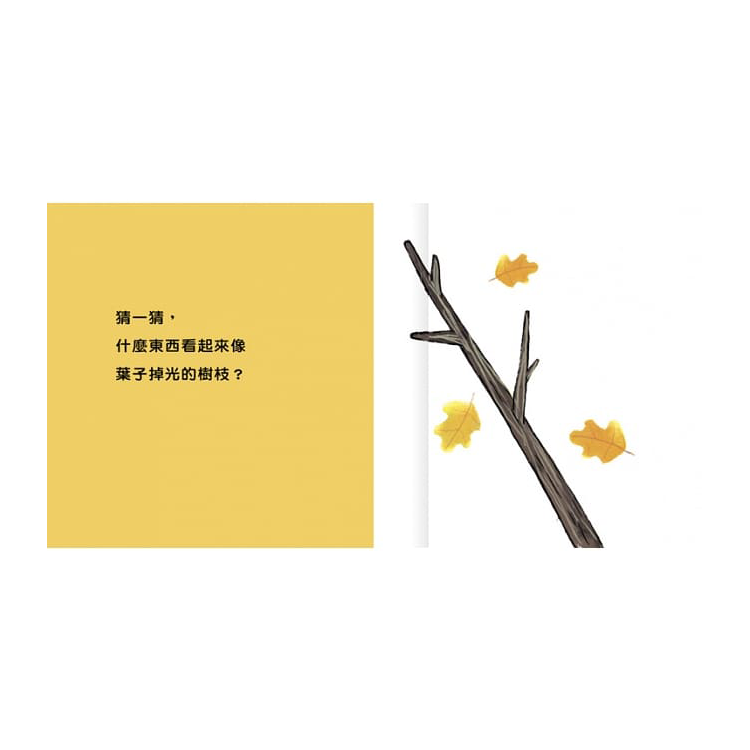 猜一猜，是什麼？