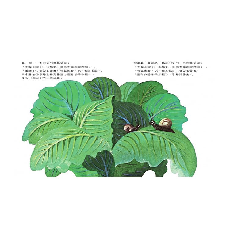 世界上最大的房子