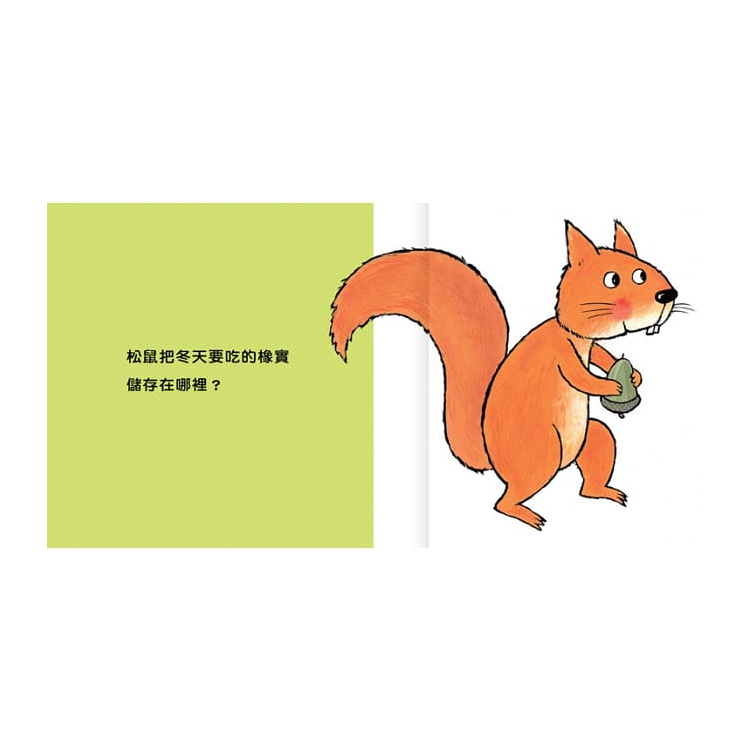 猜一猜，在哪裡？