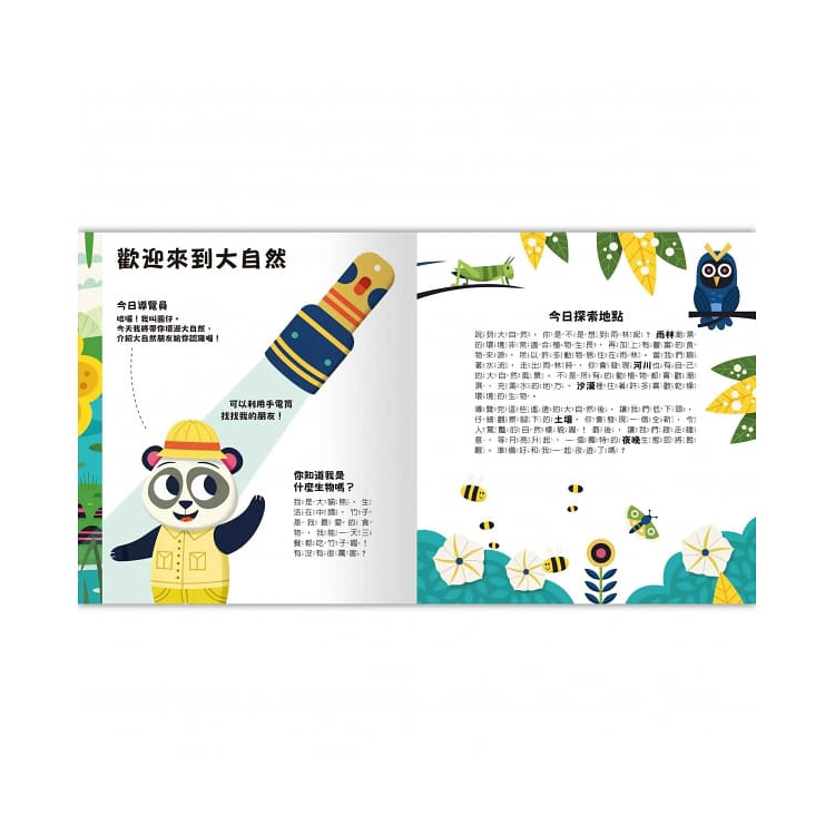 Spotlight！夜遊大自然