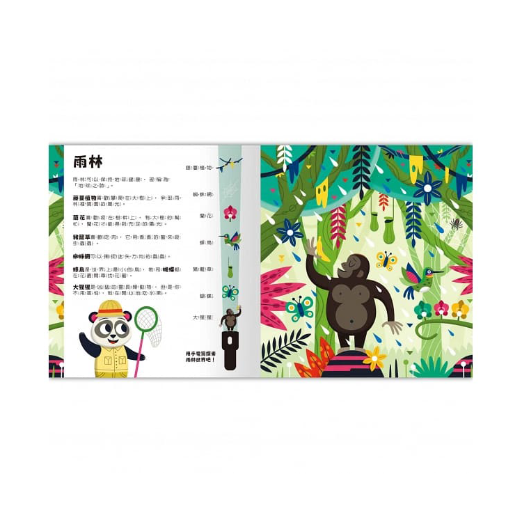 Spotlight！夜遊大自然