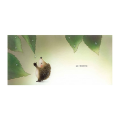 每天都是上天的禮物