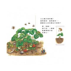 小種子，快長大 (水果篇)