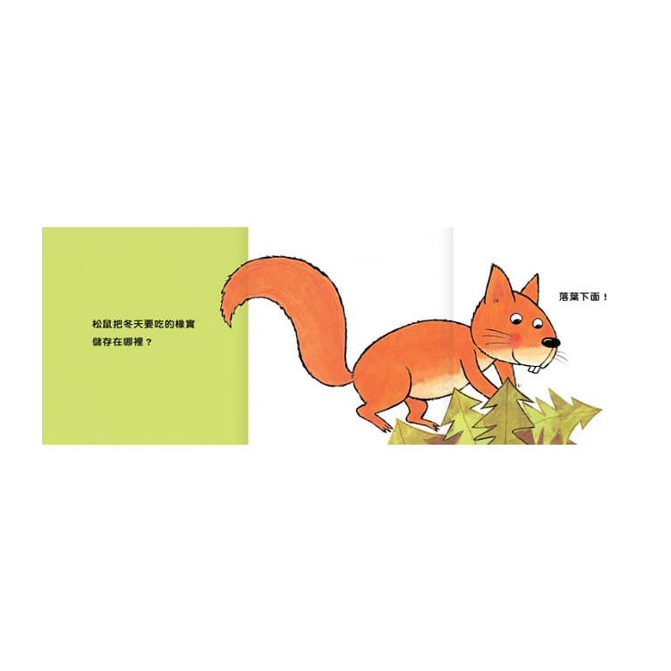猜一猜，在哪裡？