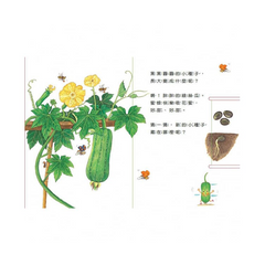 小種子，快長大 (蔬菜篇)