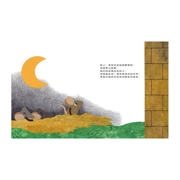 小老鼠緹莉和一堵牆