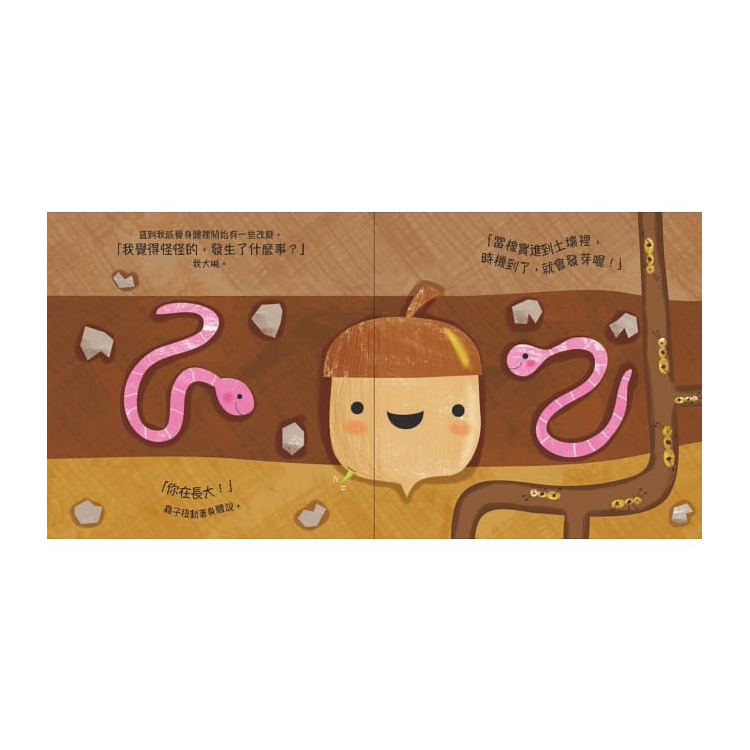 小橡實 (已絕版)