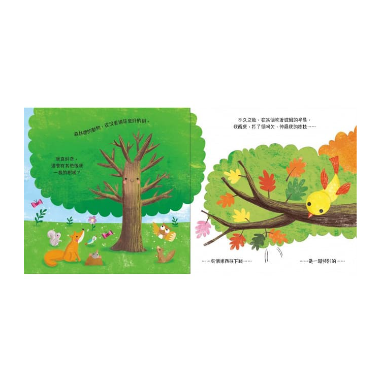 小橡實 (已絕版)