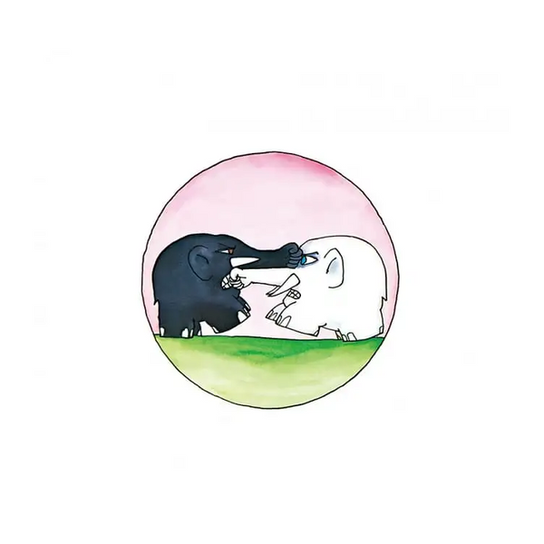 黑象與白象