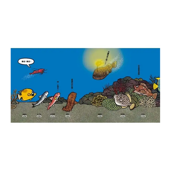 海底在排什麼呢？