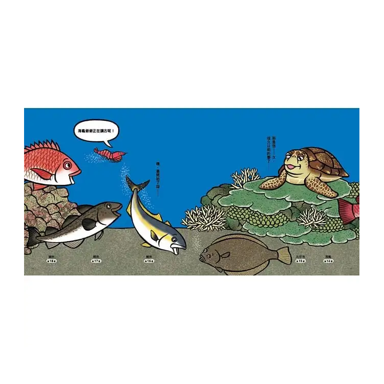 海底在排什麼呢？