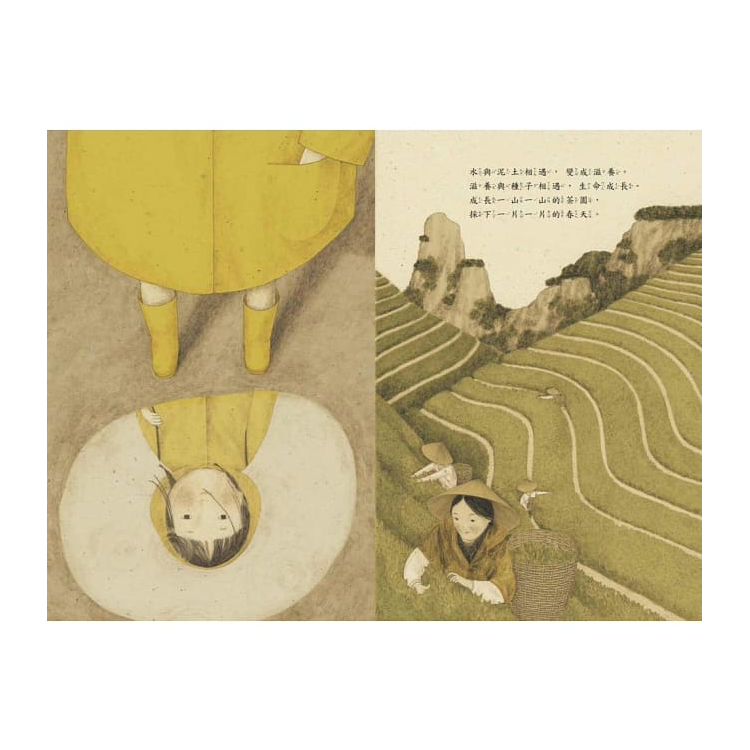 茶